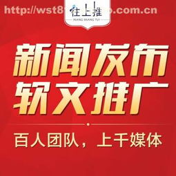 杭州往上推网络科技与阿土伯网 杭州网络技术服务的新标杆